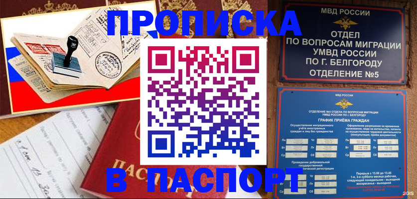 купить прописку в Светлограде